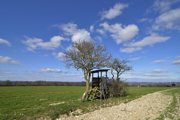 Landscape with a green field and high seat in bright sunshine