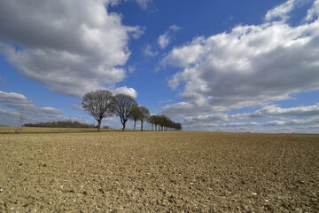 Landscape with wide field by bright sunshine