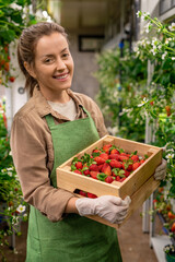 Happy young gloved female worker of vertical farm holding wooden box with heap of ripe strawberries