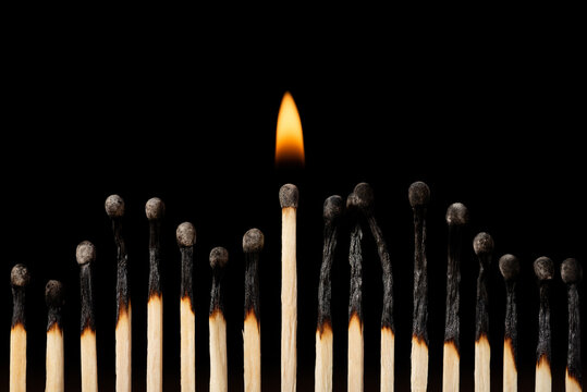 One burning match in line with other black burnt matches. Different, another, stand out, survival concept
