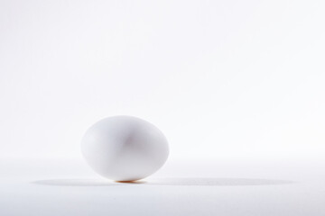 Fototapeta na wymiar egg on white background