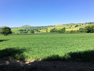 A view of the Shropshire Countryside near Church Stretton