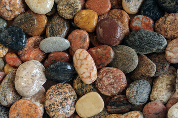 Texture of wet sea pebbles. View from above