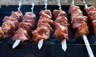 grilled barbecue meat on skewers