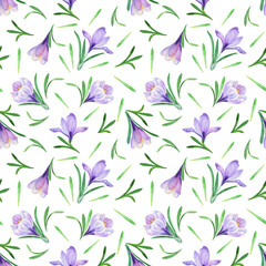 Spring flower seamless pattern Watercolor purple crocus