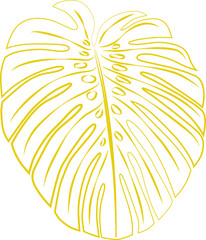 Yellow monstera leaf, outline, stroke. Graphic drawing of a tropical plant.