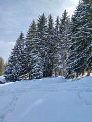 Winter view of Vitosha Mountain, Bulgaria