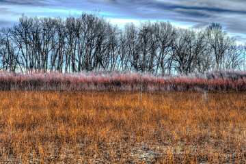 Cold Springs National Wildlife Refuge, OR