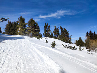 Winter view of Vitosha Mountain, Bulgaria