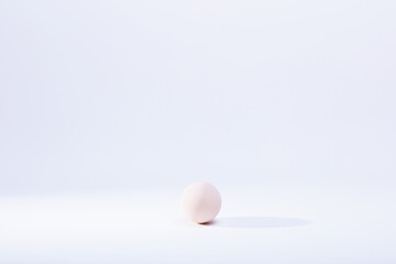 egg on white background
