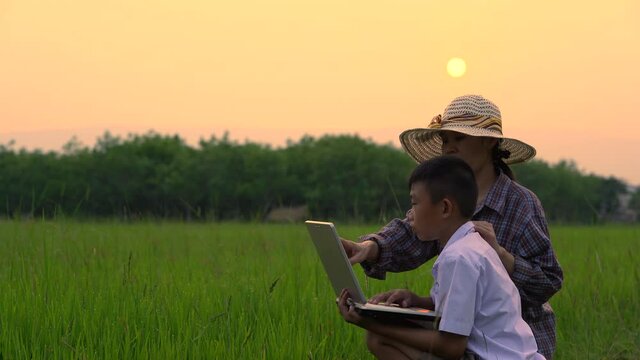 Mother and son looking rice field and checking data in laptop on sunset background