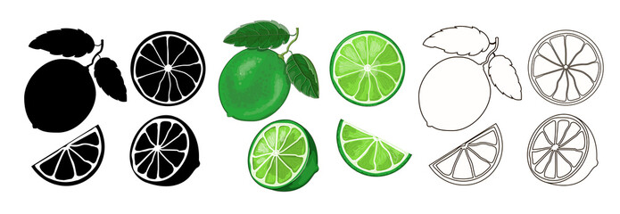 Three sets of limes - 1st black silhouette, 2nd color in cartoon style and 3rd in outline style. One lime on a twig with two leaves, half and two wedges, isolated on a white background.