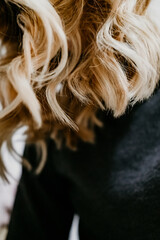 hairdresser coloring blonde balayage hair