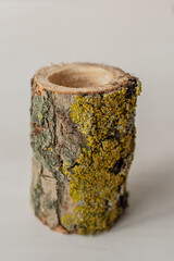 raw natural ash tree wood log slice  tea light candle holder vase house home zero waste decoration  - 420314819