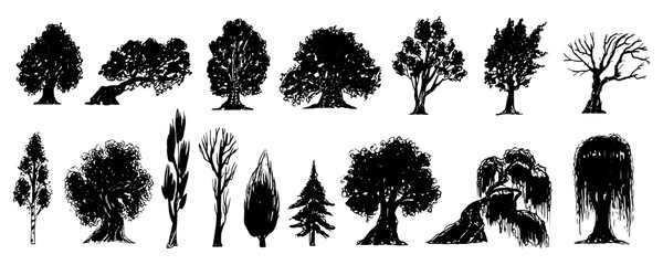 Set of various hand drawn trees, isolated on white background. Vector illustration.