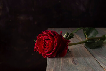 Red, delicate, decorative rose on a wooden table close-up