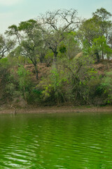 lago verde, lago el salado en el litoral chaqueño