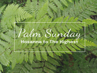 Palm Sunday. Hosanna to The Highest. Happy Palm Sunday concept. On blurry background of green fern...