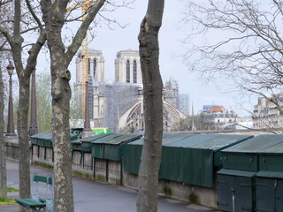 A view on Notre Dame in a cloudy day.