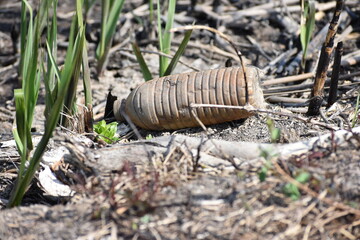 Obraz premium Discarded plastic bottle laying in bay creating environmental litter and waste