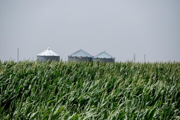 seed silos  © Steve Dally