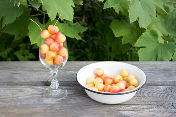 Ripe cherries. Yellow and red sweet cherries in glassware and wooden table, summer concept. Early harvest sweet cherry