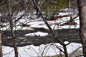 The Chemin of the Riviere Nord