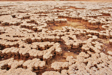 Sulfur Desert