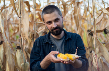 Portrait of a bearded Caucasian farmer holding corn in his hands. Agricultural farm field. Harvest season. The man smiles.