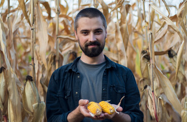 Portrait of a bearded Caucasian farmer holding corn in his hands. Agricultural farm field. Harvest season. The man smiles.
