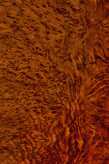 Polished wood texture. The background of polished wood texture.