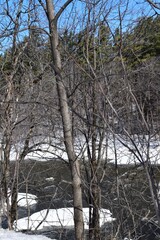 The Chemin of the Riviere Nord