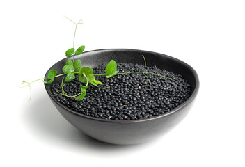 Raw Dry Lentils, Lentil Grains, Dal, Daal, Dhal, Masoor