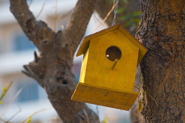 Wooden yellow bird house hanging from a tree in the garden 
