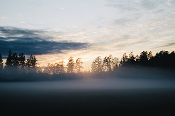 Naklejka premium sunset through foggy forest landscape latvian countryside with fog layers