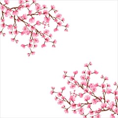 Cherry blossom, Sakura pink flowers background, Cherry blossom Spring flowers background, Background cherry blossom spring flower Japan