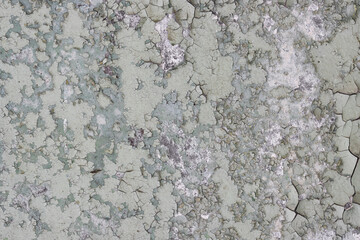 Peeling paint on the wall. Old concrete wall with cracked flaking paint. Weathered rough painted surface with patterns of cracks and peeling. Grunge texture for background and design. High resolution.