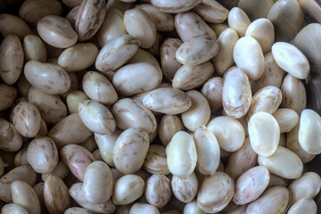 grupo de frijoles o porotos blancos