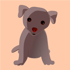 A cute grey dog vector.