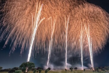 茨城県・古河市 古河花火大会の風景