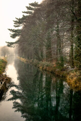 Quaint Foggy Steamy Canal at Sunrise, Kildare, Ireland