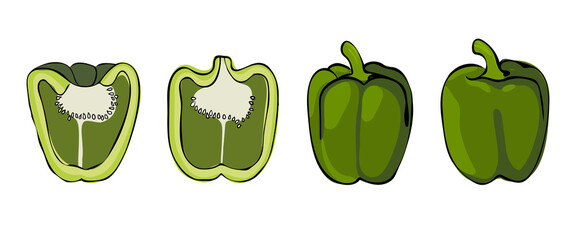isolated childish hand drawing green sweet pepper cartoon element for logo, icon, or any usage. vector design.