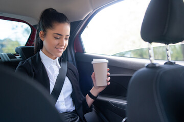 Fototapeta na wymiar Businesswoman using laptop in car.