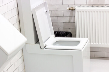 Clean white ceramic toilet in the lavatory.