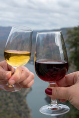 Tasting of Portuguese fortified port wine, produced in Douro Valley with Douro river and colorful terraced vineyards on background in autumn, Portugal