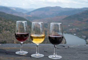 Tasting of Portuguese fortified port wine, produced in Douro Valley with Douro river and colorful terraced vineyards on background in autumn, Portugal