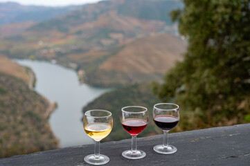 Tasting of Portuguese fortified port wine, produced in Douro Valley with Douro river and colorful terraced vineyards on background in autumn, Portugal