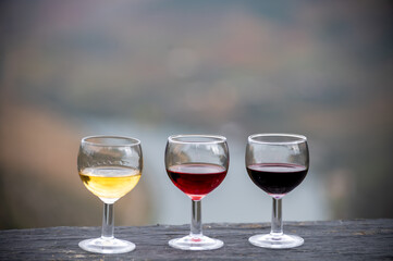 Tasting of Portuguese fortified port wine, produced in Douro Valley with Douro river and colorful terraced vineyards on background in autumn, Portugal