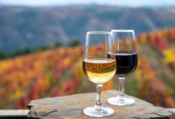 Tasting of Portuguese fortified port wine, produced in Douro Valley with colorful terraced vineyards on background in autumn, Portugal