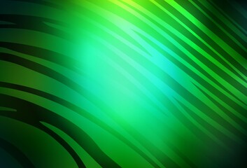 Dark Green vector backdrop with curved lines.